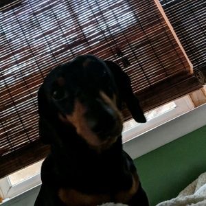 Meet your Posher, Julia